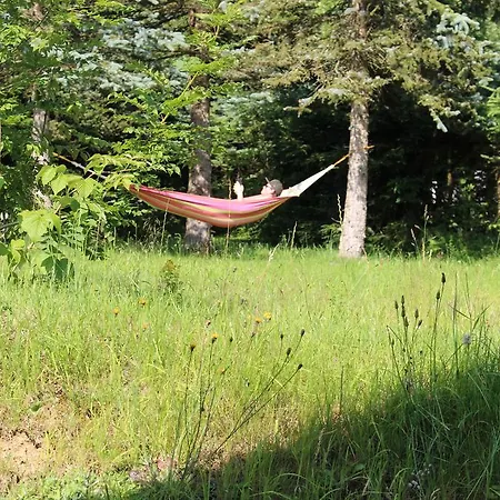 Grobauer Schwarzenberg am Bohmerwald