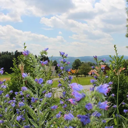 Grobauer Schwarzenberg am Bohmerwald