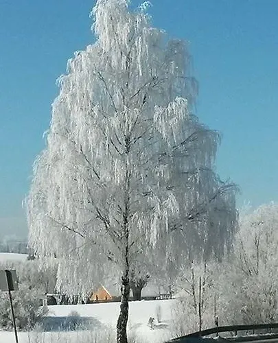 Grobauer Schwarzenberg am Bohmerwald