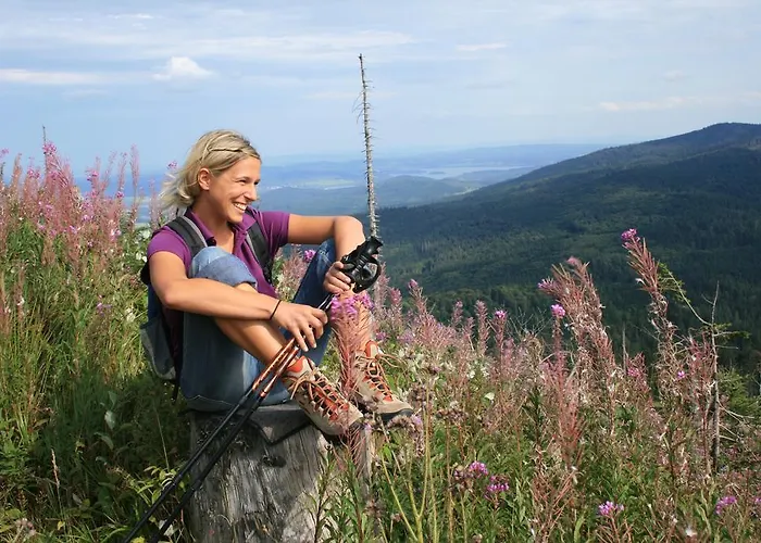 Grobauer Schwarzenberg am Bohmerwald