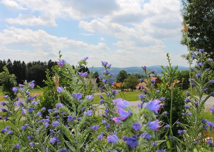 Grobauer Schwarzenberg am Bohmerwald
