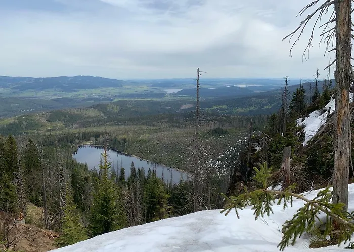 شاليه Grobauer Schwarzenberg am Bohmerwald
